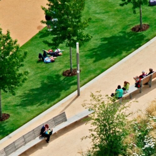 Whose responsibility is inclusive design?