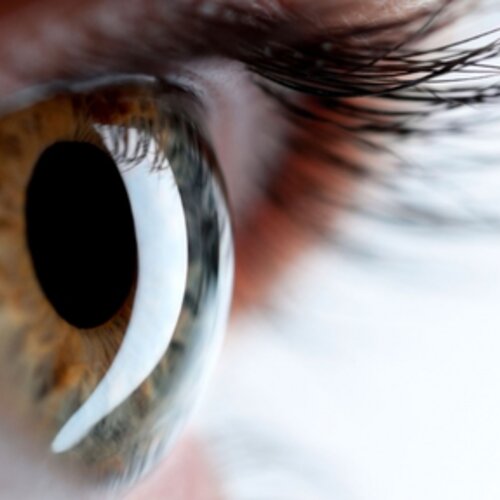 University of Aberdeen