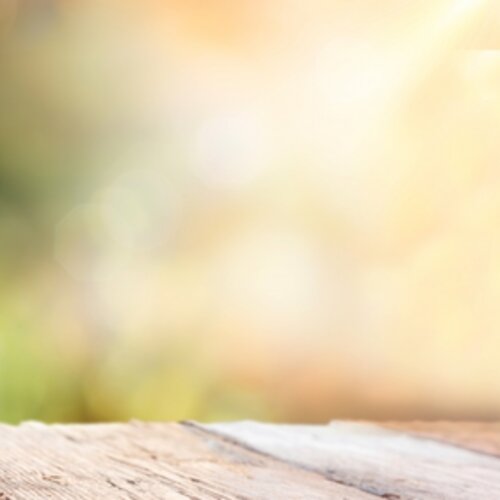 Our response to the 2017 Spring Budget