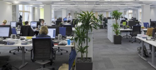 The impact of office design on business performance