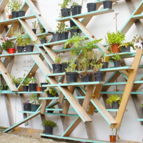 Young people, youthful places