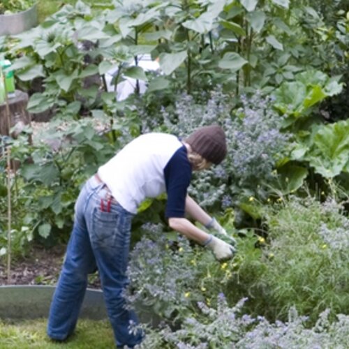 Managing green spaces