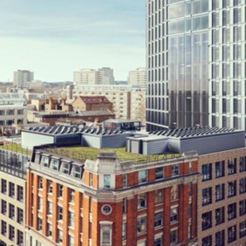 How to create a winning workplace