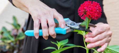 Five surprising facts about arthritis