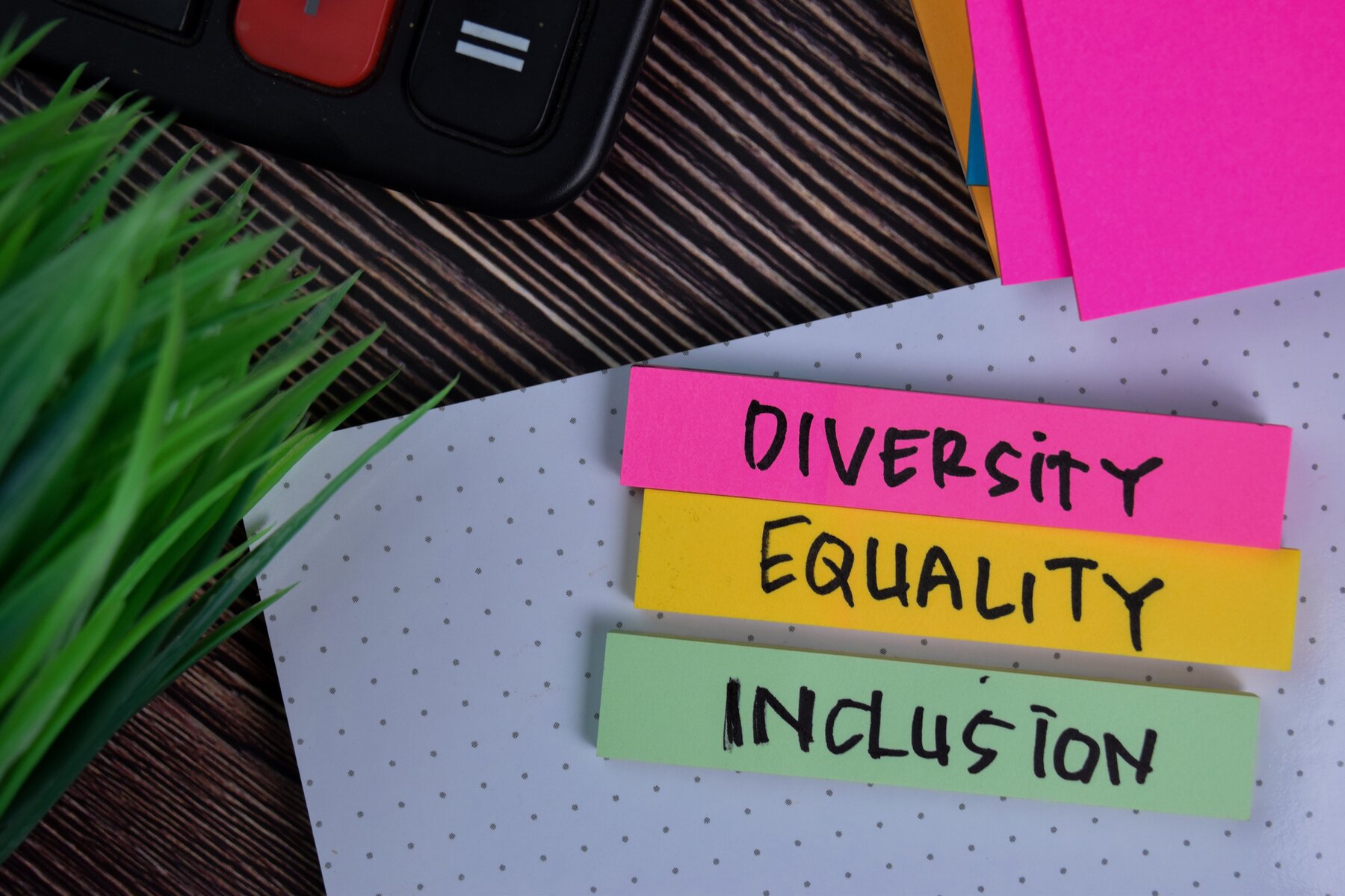 Equality, Diversity & Inclusion Design Council